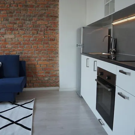 Centrum Witkiewicza I 格利维采