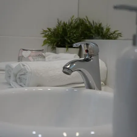 公寓 Centrum Witkiewicza I 格利维采