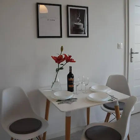 Centrum Witkiewicza I 格利维采