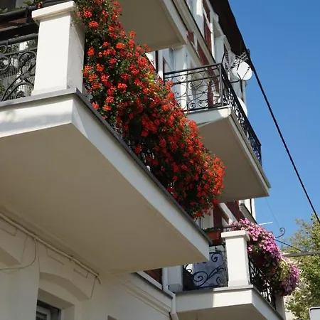 Centrum Witkiewicza I * 格利维采