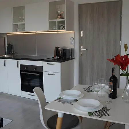 Centrum Witkiewicza I 公寓 格利维采