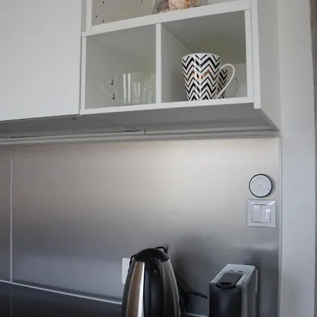 Centrum Witkiewicza I 格利维采